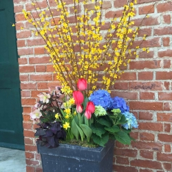 A planter in front of the church entrance holds forsythia, hydrangea, tulips, daffodils, oxalis, and hellebores