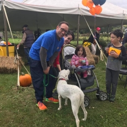 A man and his dog