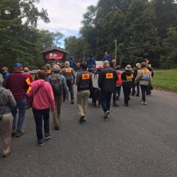 A group of walkers