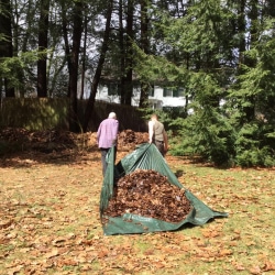 Two men pull a tarp with leaves into the woods
