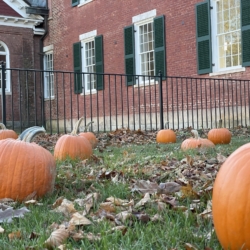 A field of pumpkins outside the church