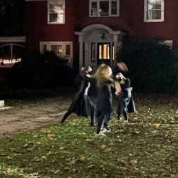 Ballet dancers dance on the lawn